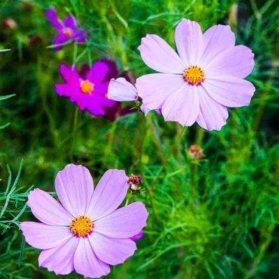 leyu·乐鱼(中国)体育app下载