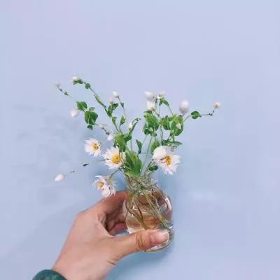 半岛官方APP入口手机app下载