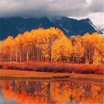 半岛5.0下载官网